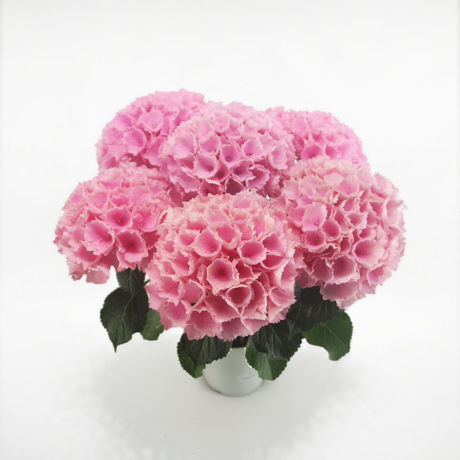 ���ԃC���[�W