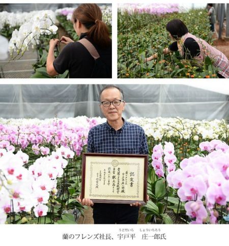 送料込み☆お値下げ!!　【 お花模様のとても素敵なイギリス製本棚 】 Amazon.co.jp: JQGGJYGG プランターフェンス ガーデンプランター