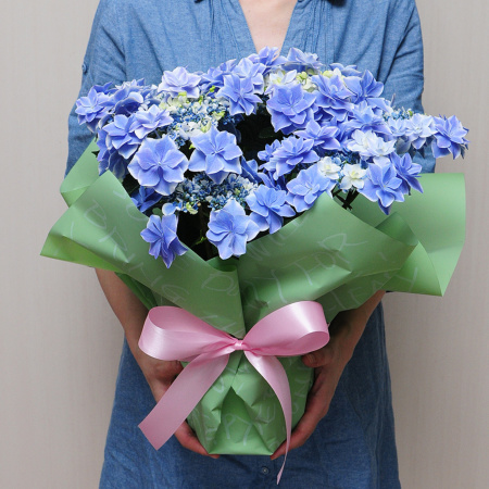 あじさいの鉢植え 銀河 5号鉢 母の日に贈る花 アジサイ(紫陽花