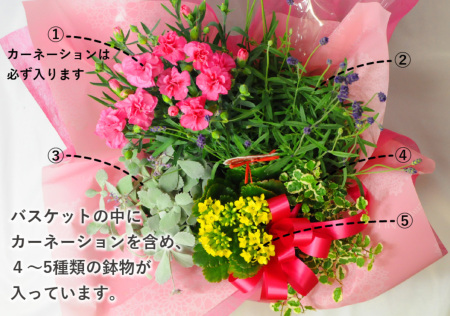 母の日 遅れてごめんね 寄せ鉢ミックス 母の日に贈る花