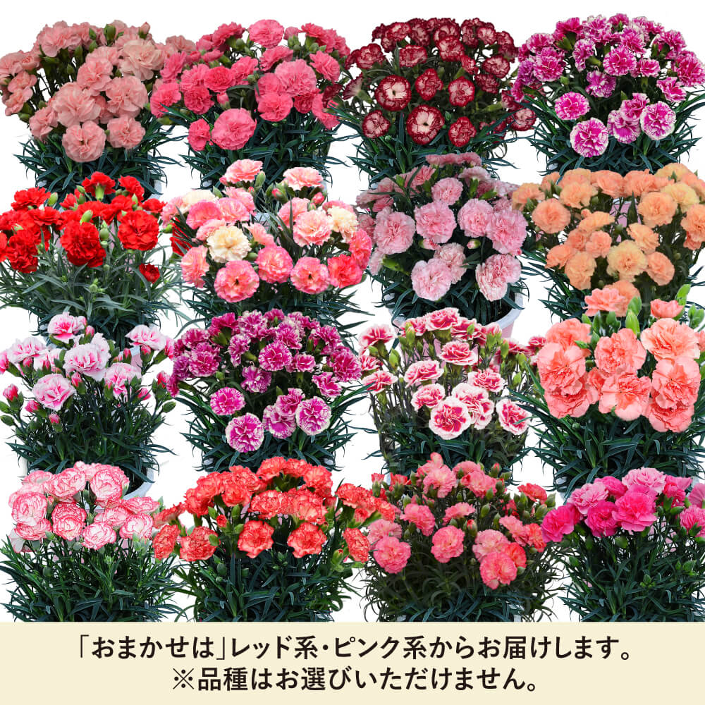 F͂܂͂܂