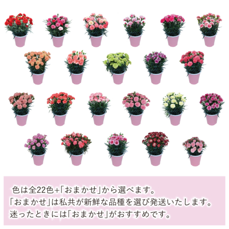 純銀　鉢　贈り銘入　菓子鉢 重さ377.1g 銀箔金彩鉢 – Onoue's Favorite Things