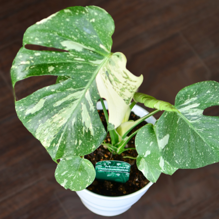 ���ԃC���[�W