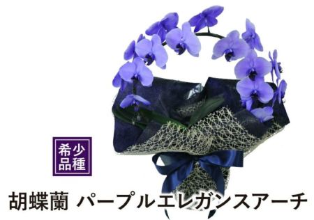 (k20)Baccarat バカラ オーキッドフラワー 洋蘭 パープル k20)Baccarat バカラ オーキッドフラワー 洋蘭 パープル k20