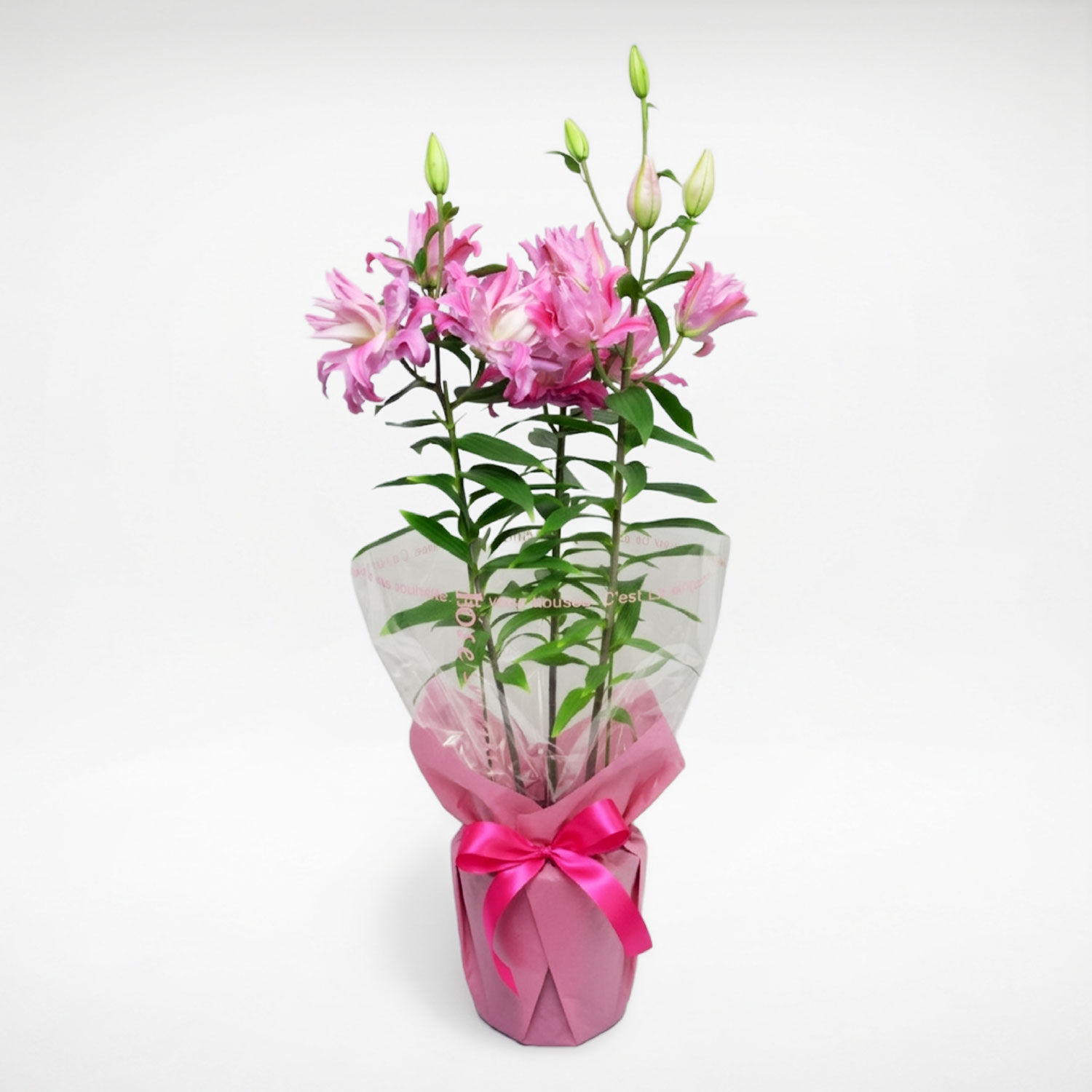 ���ԃC���[�W