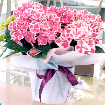 ���ԃC���[�W