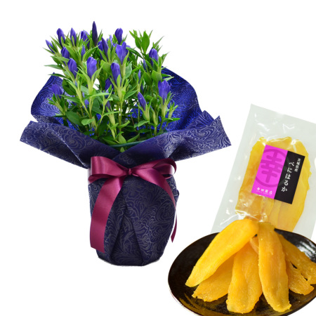 再値下げ❗️陶器製花鉢 紫と白の花