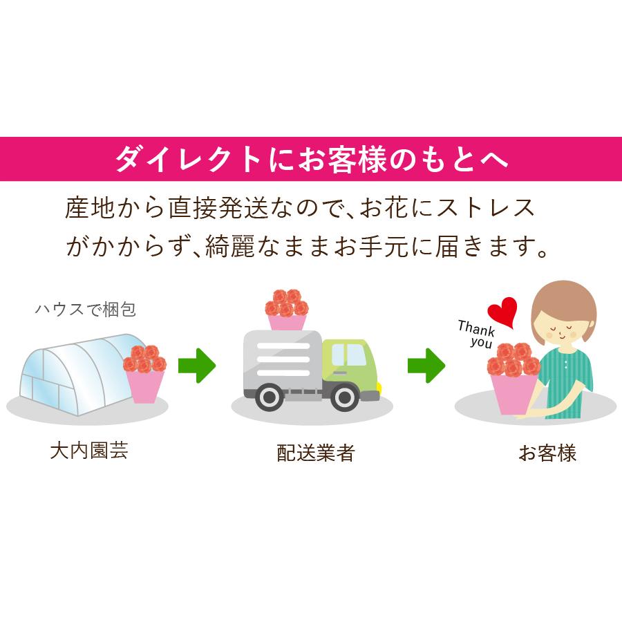 _CNgz