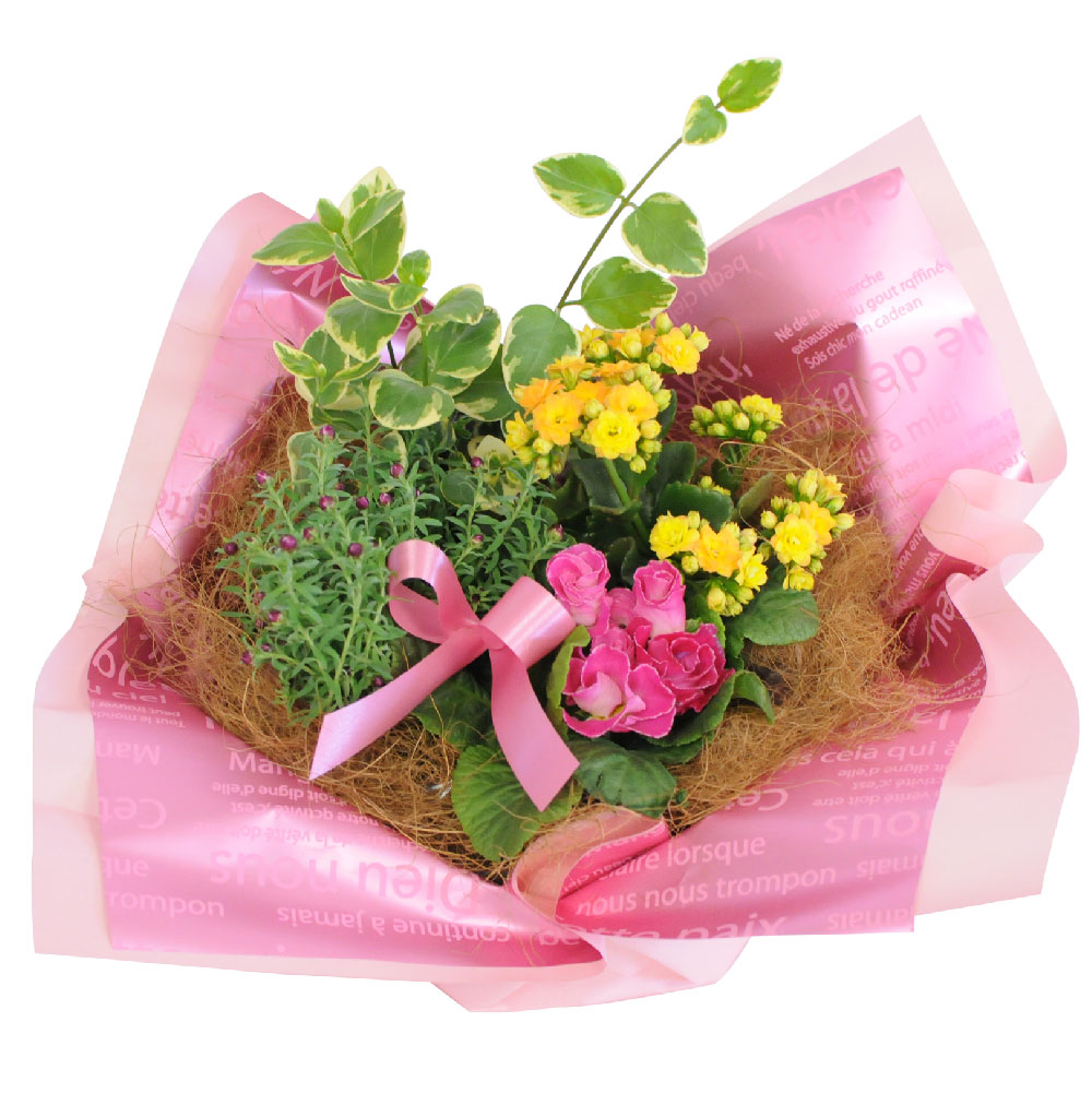 ���ԃC���[�W