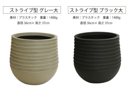 観葉植物 ユッカ 10号鉢 選べる鉢カバー付き 観葉植物 ハウス