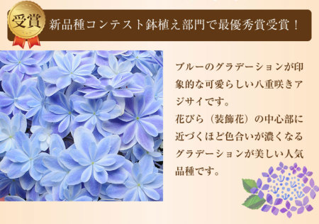 imgrc0106984225.jpg
