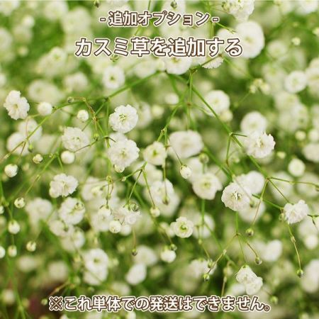 ԃC[W