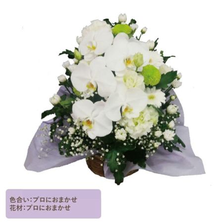 蘭のお供えアレンジメントMサイズ お供えの花・お悔やみの花