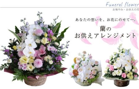 ☆KS☆　お供え花アレンジメント 蘭のお供えアレンジメントMサイズ お供えの花・お悔やみの花