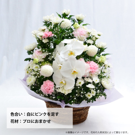 蘭のお供えアレンジメントLサイズ お盆の花(新盆花・初盆花