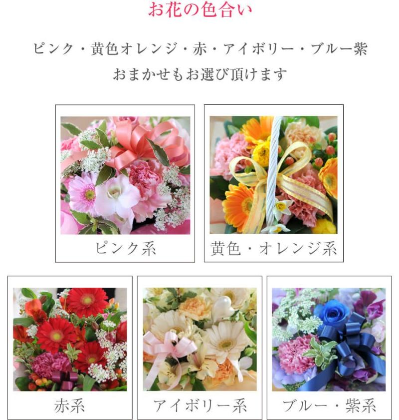 おまかせフラワー便(大きなサイズ) お祝用 | エーデルワイス【花の
