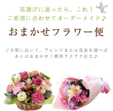 おまかせフラワー便 お祝用 | エーデルワイス【花の贈り物