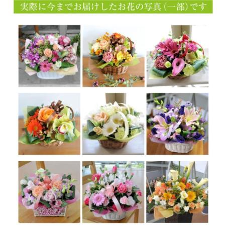 オーダー品（花束） おまかせフラワー便 お祝用 | エーデルワイス【花の贈り物