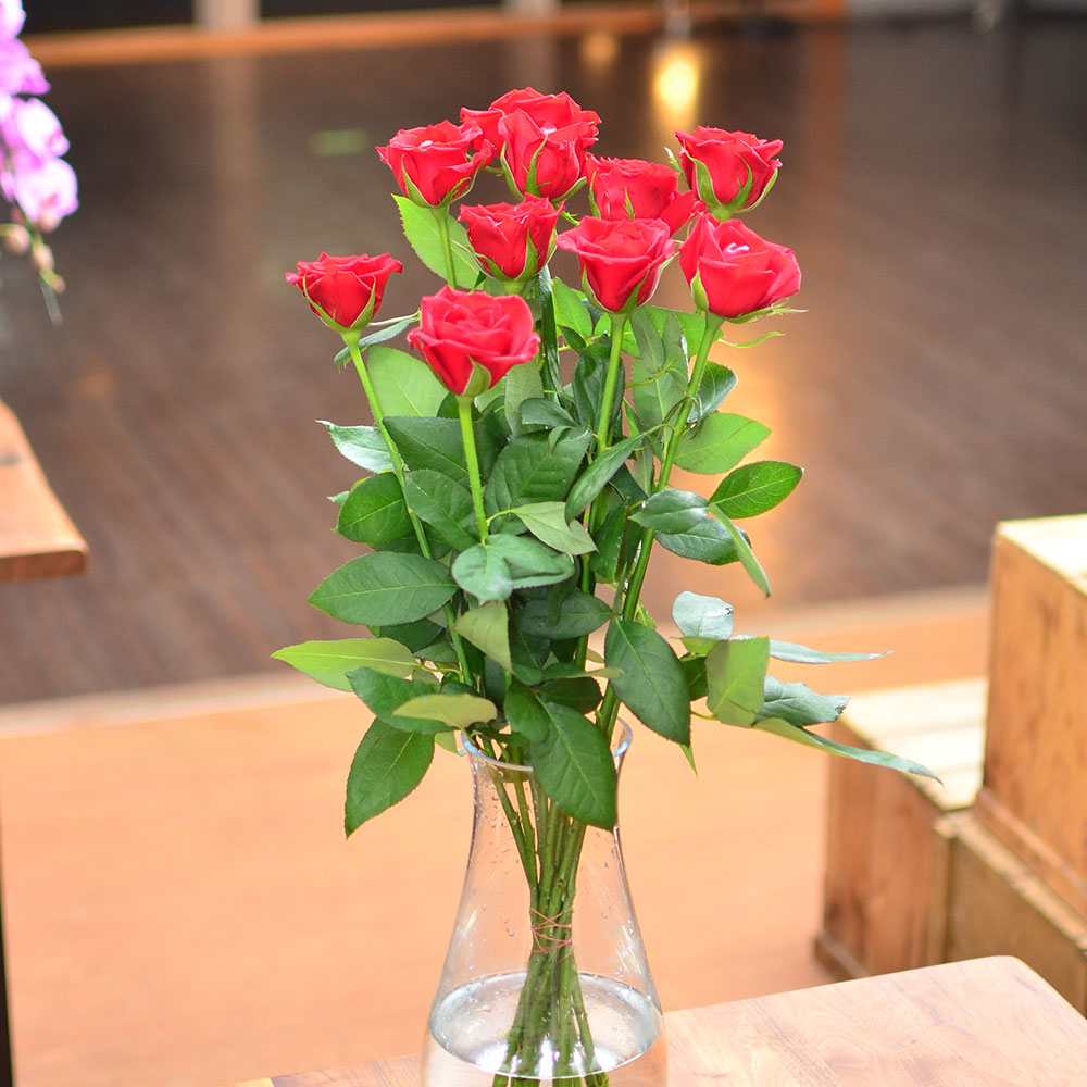 赤いバラ10本の花束 赤いバラ(薔薇・ばら)の花束 | エーデルワイス【花
