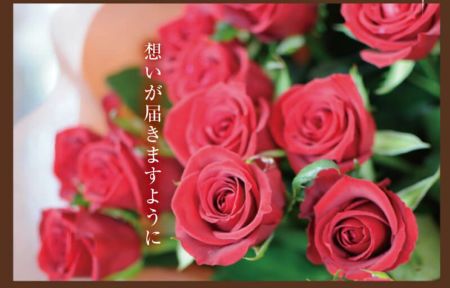 【赤いバラ】 生花】バラ アマダ+(赤)50cm-【IT-23】xmas価格 - 花材通販は