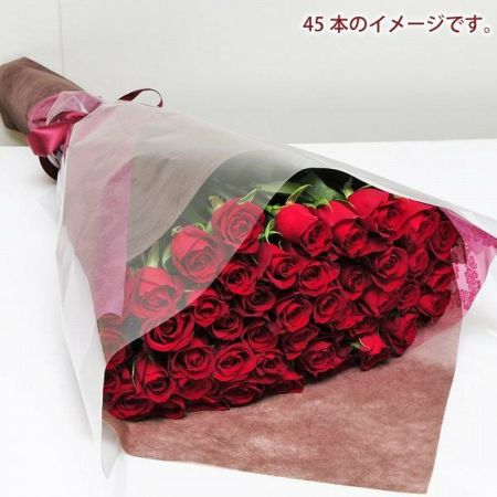 【赤いバラ】 生花】バラ アマダ+(赤)50cm-【IT-23】xmas価格 - 花材通販は