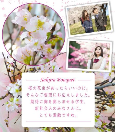 桜の花束 さくらの花束 春の花贈り | エーデルワイス【花の