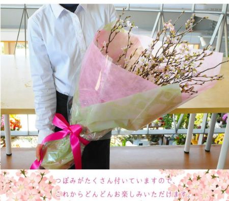 桜の花束 さくらの花束 春の花贈り | エーデルワイス【花の