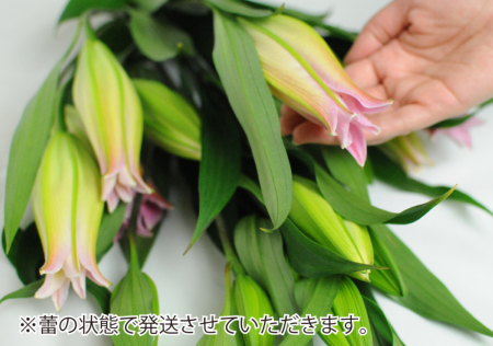 額入りの百合の花です。お気に入りの作品 エッチングミラー ゆり】ガラス彫刻の四季彩