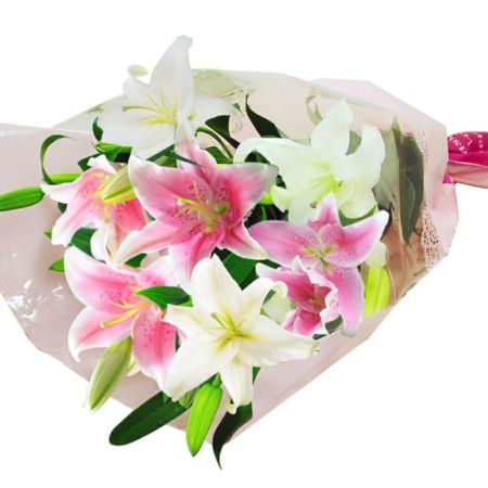 25%OFF】 ユリの花束(ピンクと白)4輪20本 花束・切花 - 花束 25%OFF】 ユリの花束(ピンクと白)4輪20本 花束・切花 - 花束