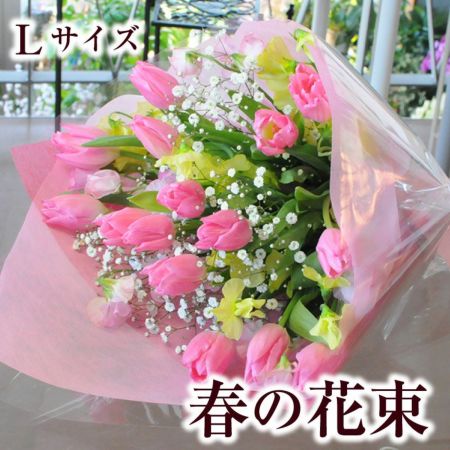 t̉ԑLTCY