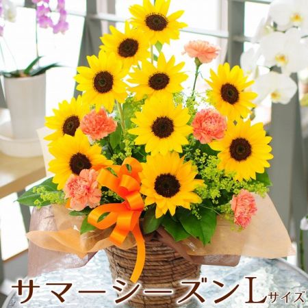 フラワーアレンジメント サマーシーズン Lサイズ ひまわりの花言葉の