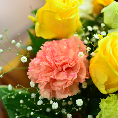 【おまとめ】フラワームーン/サマー 今日の満月フラワームーン｜園芸日記byロッキー｜みんなの趣味の園芸