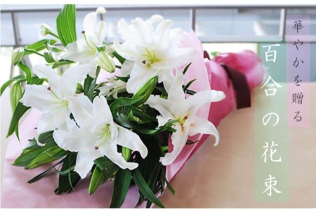 白ユリ 25輪以上の花束 オリエンタル系白の大輪百合(ユリ・ゆり