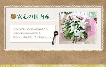 40s　スウィートハートジュエリー　シルバー　百合　リリー　天国の花　ユリ Amazon.co.jp: 秋植え 球根 八重咲き オリエンタルリリー 百合