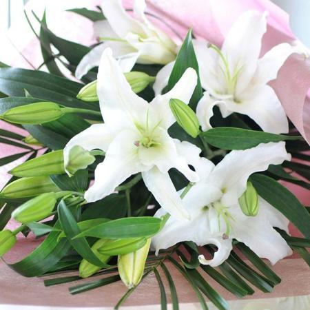 額入りの百合の花です。お気に入りの作品 白ユリ 45輪以上の花束 オリエンタル系白の大輪百合(ユリ・ゆり